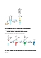 Plasmid DNA isolation from bacterial cell Miniprep 예비레포트 [A+]   (12 )